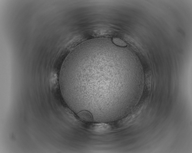 X0000113600087200909251205