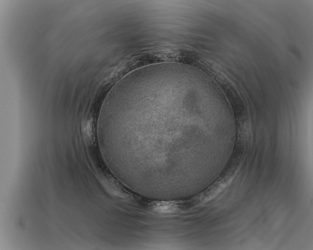 X0000113600088200909251205