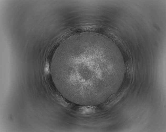 X0000113600089200909251205