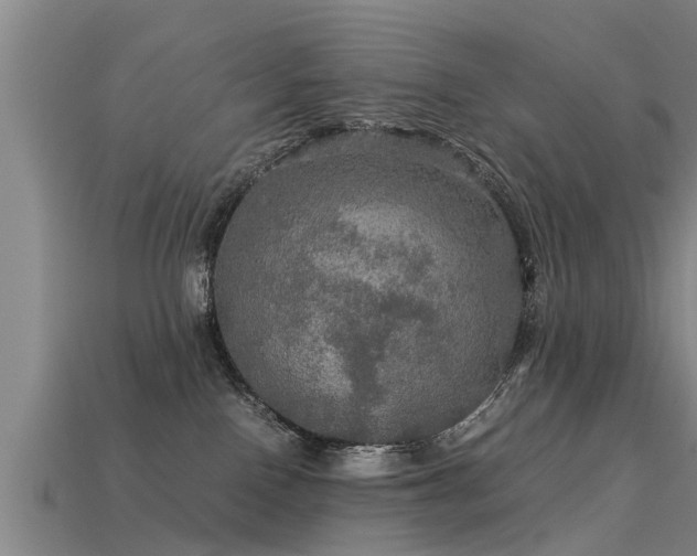 X0000113600090200909251205