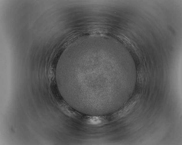 X0000113600091200909251205