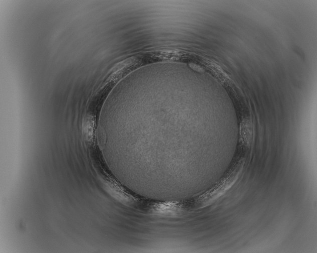 X0000113600092200909251205