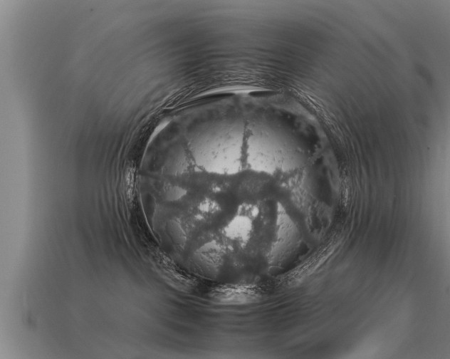 X0000113600093200909251205