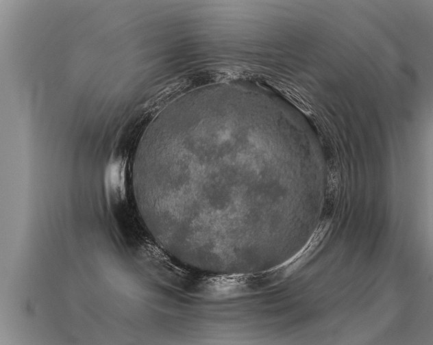 X0000113600094200909251205