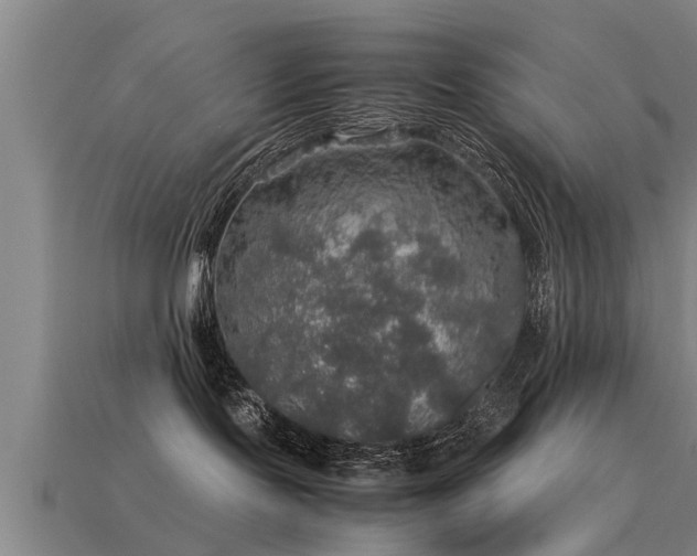 X0000113600095200909251205