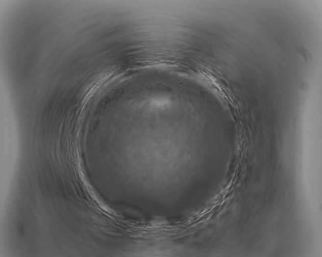 X0000113600097200909251205