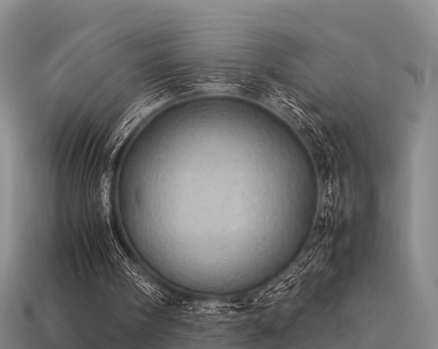 X0000113600098200909251205