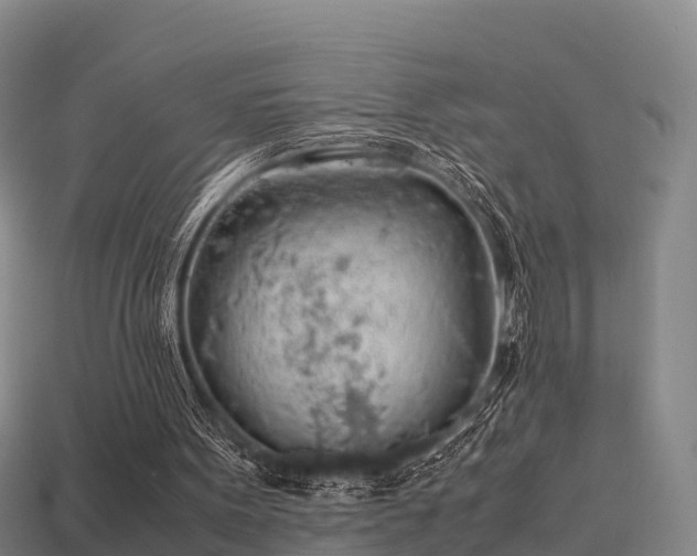 X0000113600099200909251205