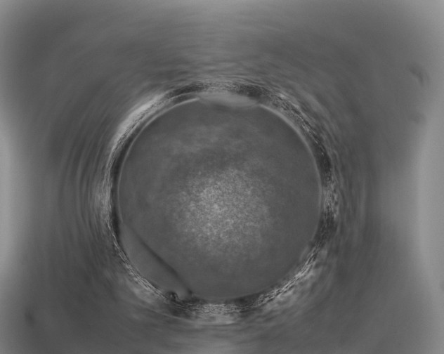 X0000113600101200909251205