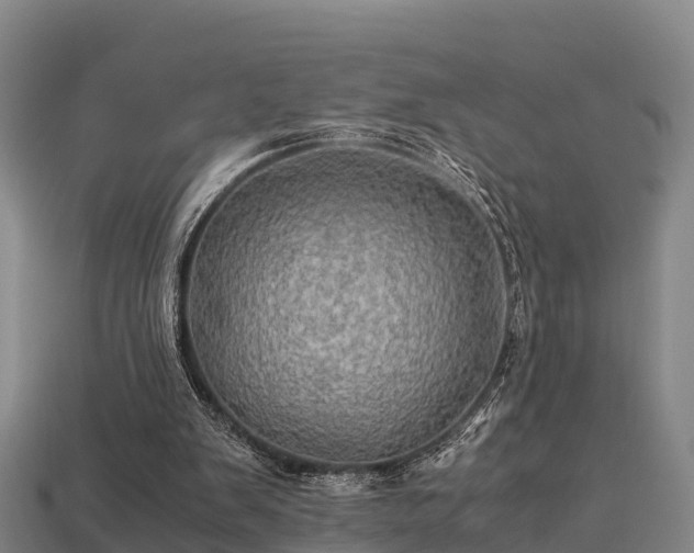 X0000113600103200909251205