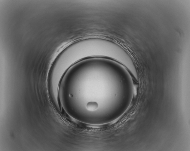 X0000113600104200909251204