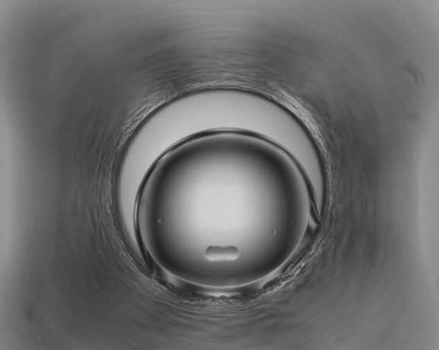 X0000113600105200909251204