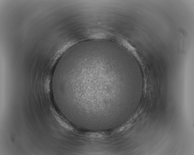 X0000113600106200909251204