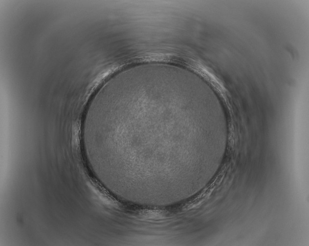 X0000113600107200909251204