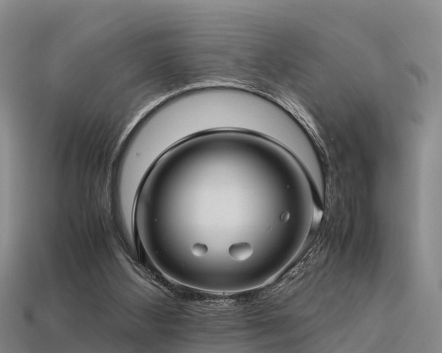 X0000113600108200909251204