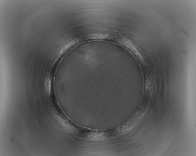 X0000113600110200909251204