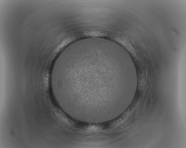 X0000113600111200909251204