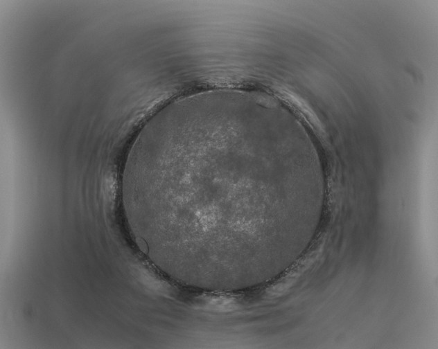 X0000113600113200909251204