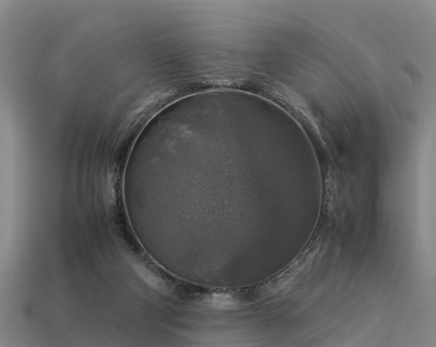 X0000113600114200909251204