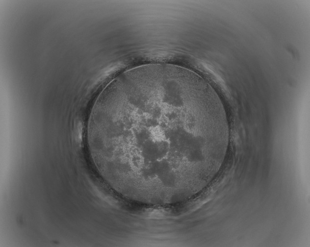 X0000113600115200909251204