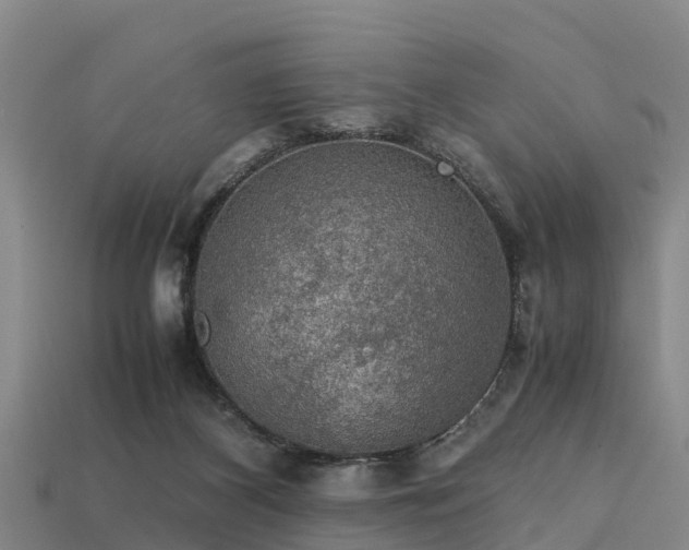 X0000113600116200909251204