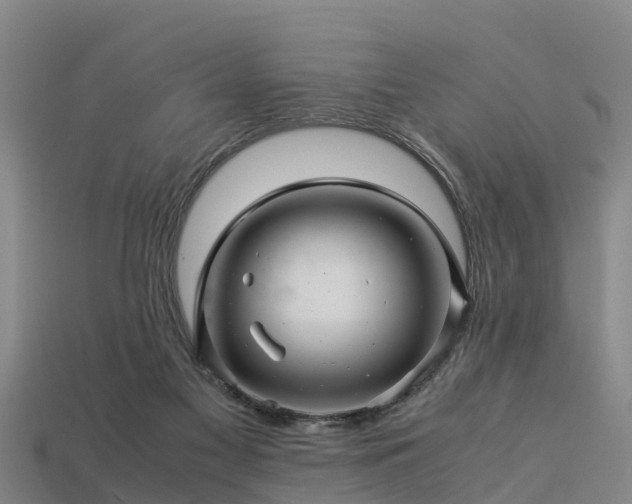 X0000113600117200909251204