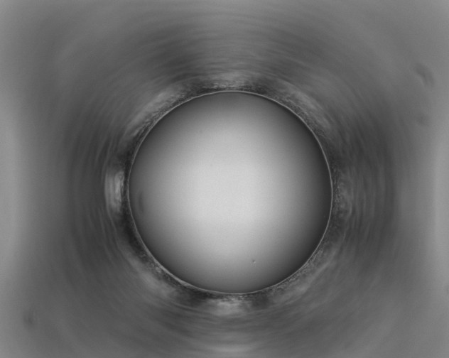 X0000113600118200909251204