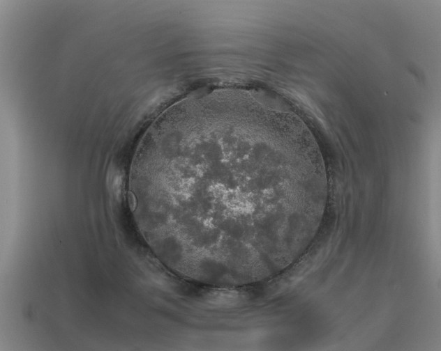 X0000113600123200909251204