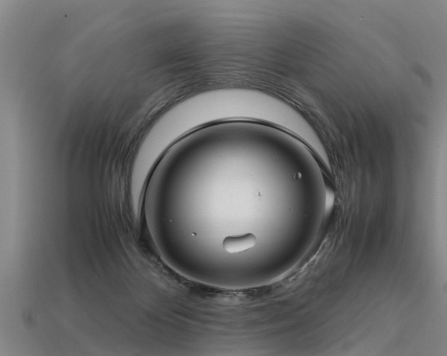 X0000113600124200909251204