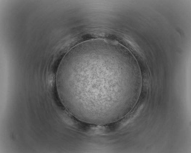 X0000113600125200909251204