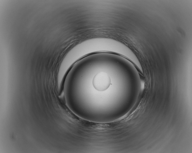 X0000113600128200909251204