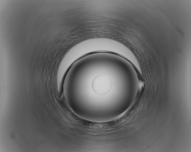 X0000113600129200909251204