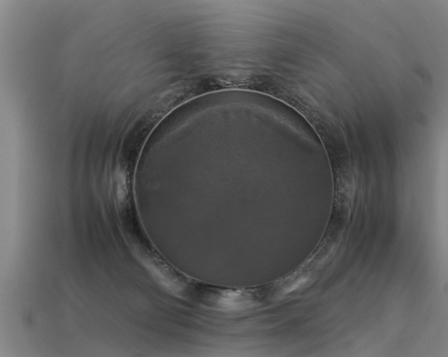 X0000113600130200909251204