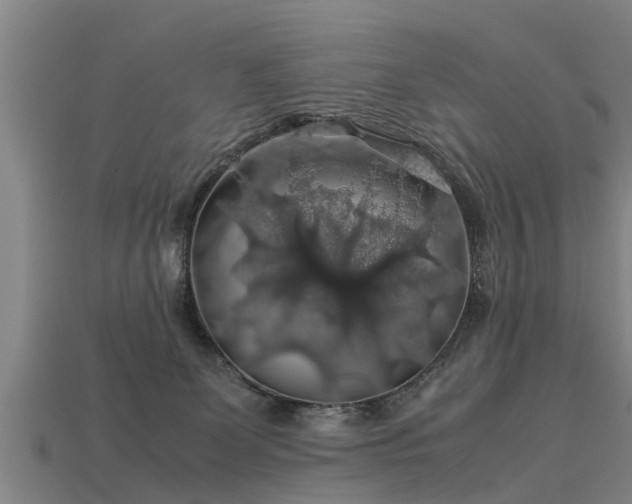 X0000113600131200909251204