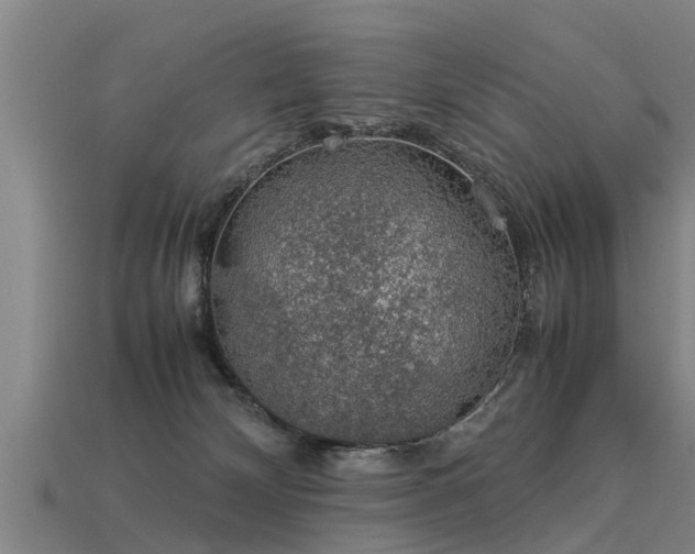 X0000113600132200909251204