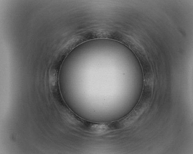 X0000113600133200909251204