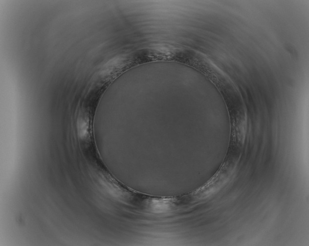 X0000113600134200909251204