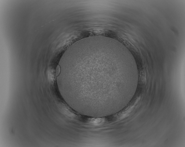 X0000113600135200909251204