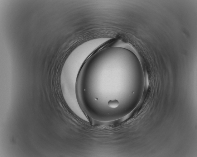 X0000113600137200909251204