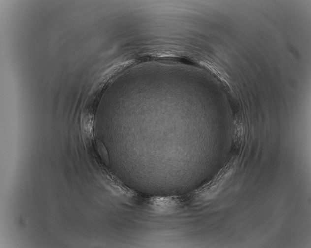 X0000113600141200909251204