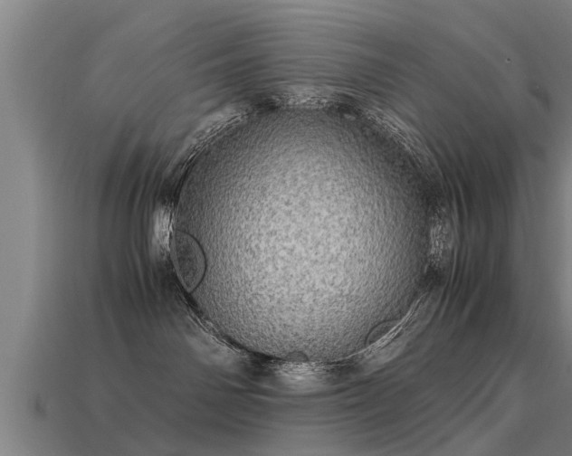 X0000113600142200909251204