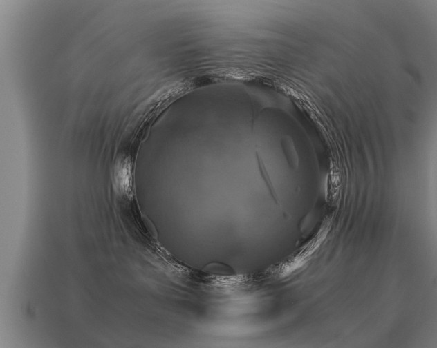 X0000113600143200909251204