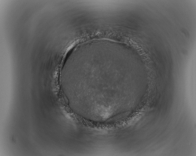 X0000113600144200909251204