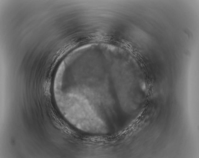 X0000113600146200909251203