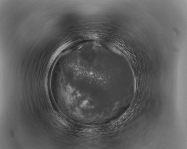 X0000113600147200909251203