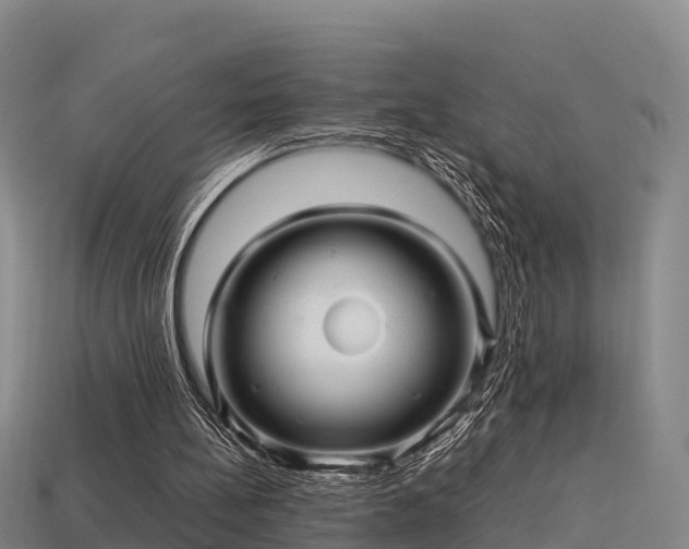 X0000113600148200909251203