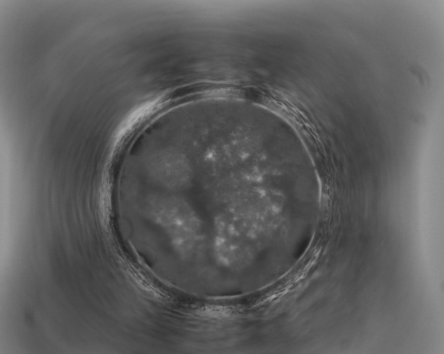 X0000113600149200909251203