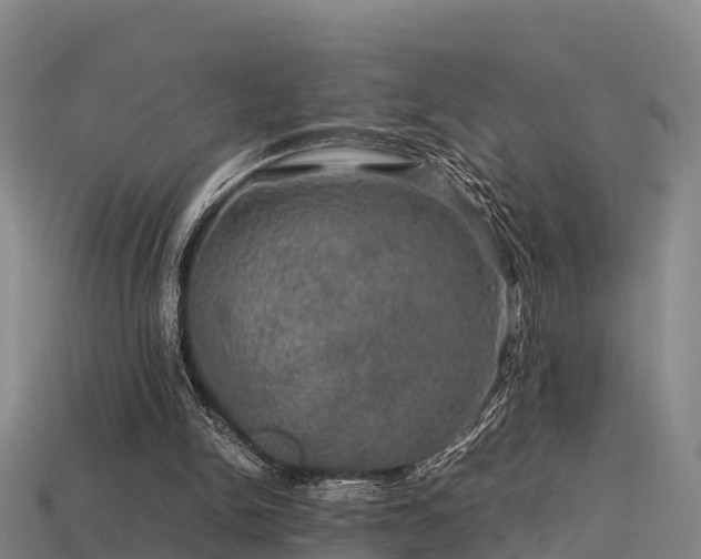 X0000113600150200909251203