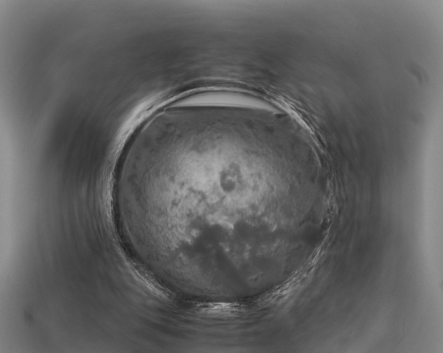 X0000113600151200909251203