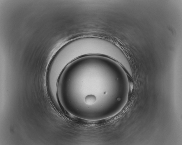 X0000113600152200909251203